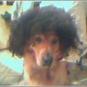 Meet your Posher, Courtney